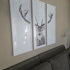 Gorgeous wall art of deer